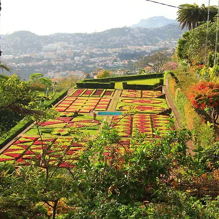 Reno Funchal (Madeira)